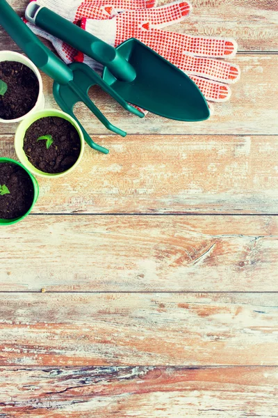 Close up of seedlings and garden tools — Stock Photo, Image