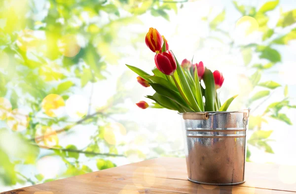 Close up of tulip flowers in tin bucket — Stok fotoğraf