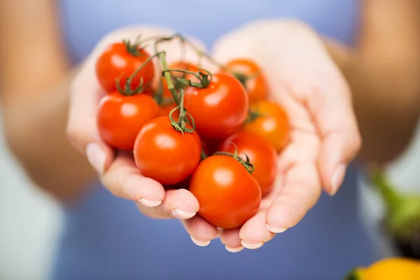 Primo piano di donna che tiene pomodori ciliegia in mani — Foto Stock