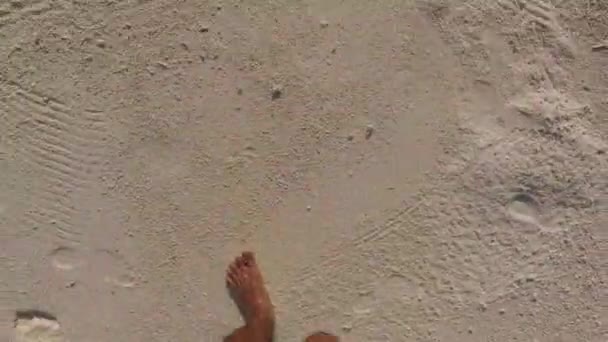 Mužské nohy, procházky podél písečné pláže — Stock video