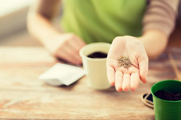 Primo piano di donna mano che tiene semi — Foto Stock