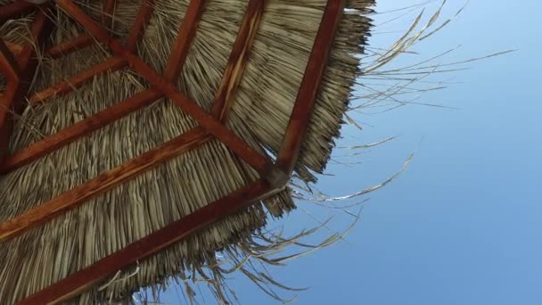 Palapa of bungalow stro werpen over blauwe hemel — Stockvideo