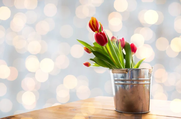 Primer plano de flores de tulipán —  Fotos de Stock