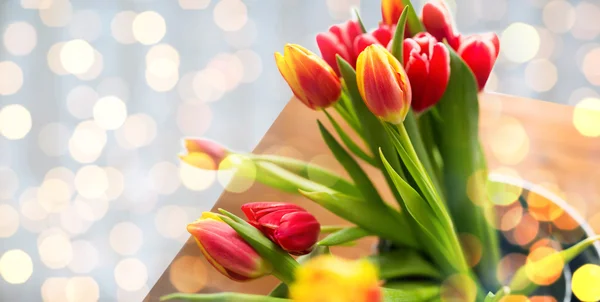 Zblízka tulipánů — Stock fotografie