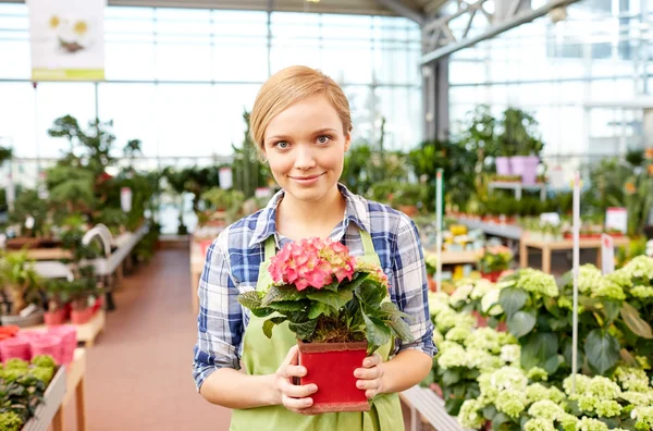 Szczęśliwa kobieta trzyma kwiaty w szklarni lub sklep — Zdjęcie stockowe