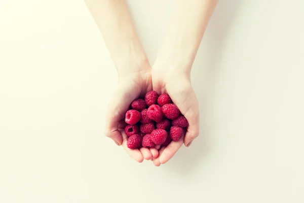 Close up of woman hands holding raspberries — Stock Photo, Image