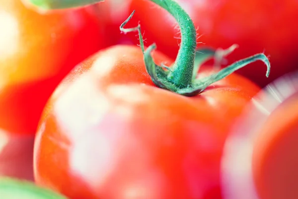 Primo piano di pomodori rossi succosi maturi — Foto Stock