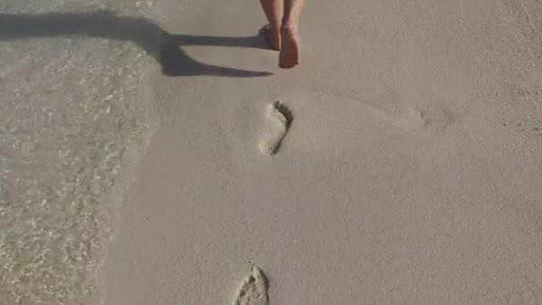 Γυναικεία πόδια, περπάτημα σε αμμώδης παραλία με ίχνη — Αρχείο Βίντεο