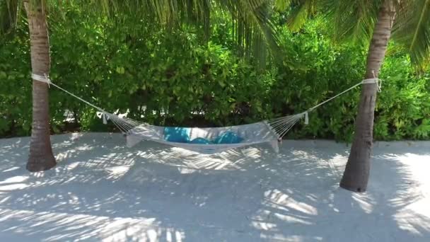 Hamac entre palmiers sur plage tropicale — Video