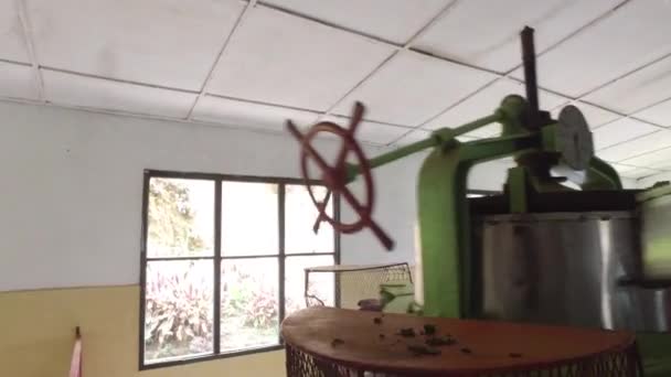 Машина измельчения чай сырой на заводе — стоковое видео
