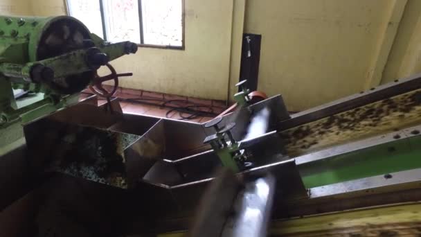 Зелений чай рухається на машинному конвеєрі на заводі — стокове відео