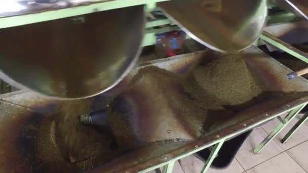 Máquina de verter té seco crudo a contenedor — Vídeo de stock