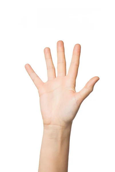 Close up of hand showing five fingers — Stock Photo, Image