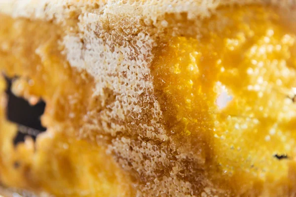 Close up of honey in honeycomb — Stock Photo, Image