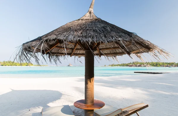 PALAPA ve deniz Maldivler plajda şezlong — Stok fotoğraf