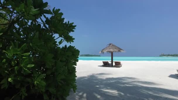 Palapa and sunbeds by sea on maldives beach — Stock Video