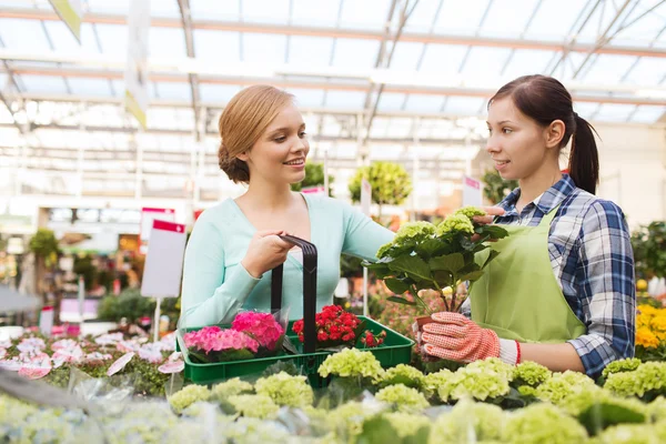 Donne felici che scelgono fiori in serra — Foto Stock