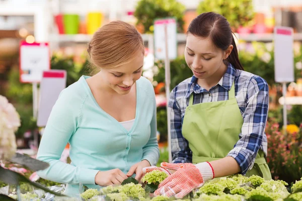 Glückliche Frauen wählen Blumen im Gewächshaus — Stockfoto