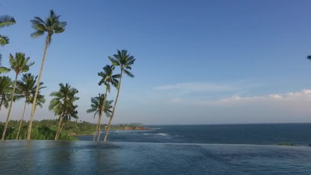 Widok z nieskończoności krawędzi basenu oceanu i palmy — Wideo stockowe