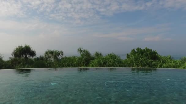 Blick vom Infinity-Pool auf Meer und Palmen — Stockvideo