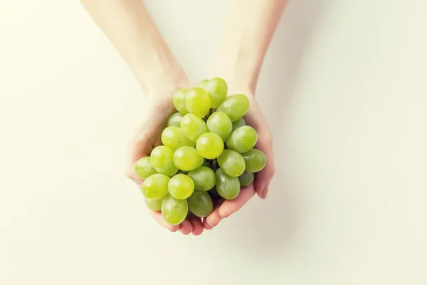 Close up de mulheres mãos segurando cachos de uva verde — Fotografia de Stock
