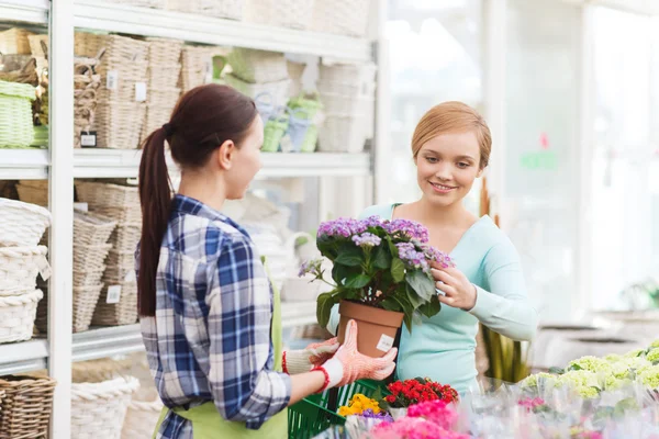 Femmes heureuses choisissant des fleurs en serre — Photo