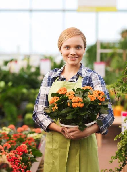 Glückliche Frau mit Blumen im Gewächshaus — Stockfoto