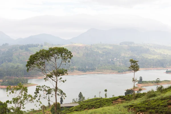 Blick auf See oder Fluss von den Landhügeln auf sri lanka Stockbild