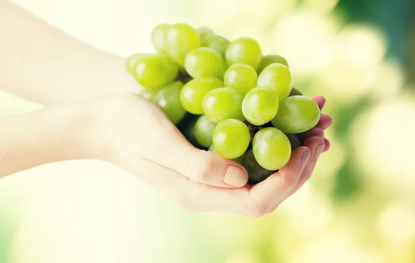 Primer plano de las manos de la mujer sosteniendo racimo de uva verde —  Fotos de Stock