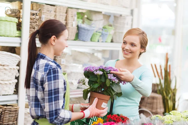 Glada kvinnor välja blommor i växthus — Stockfoto