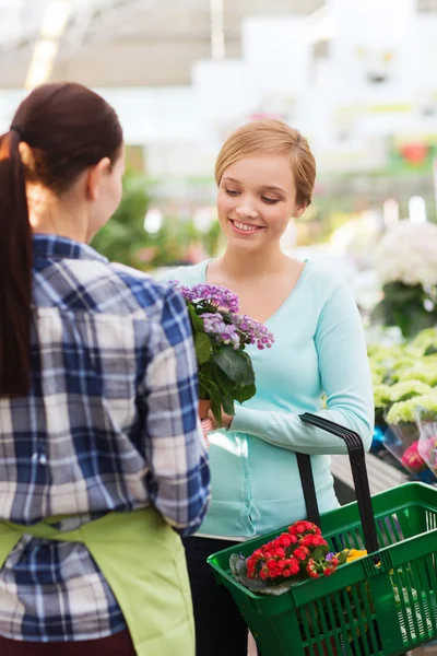 Lyckliga kvinnor väljer blommor i växthus eller butik — Stockfoto