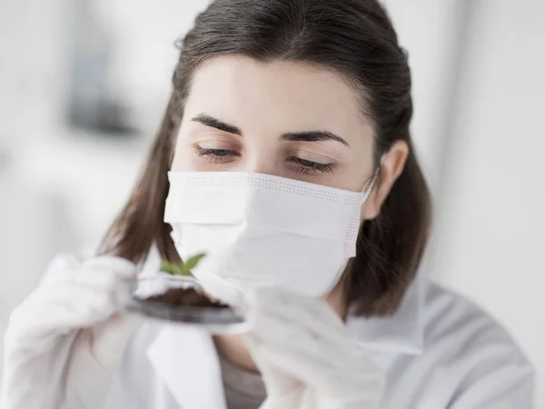 Close up of scientist with plant and soil in lab — Stock Photo, Image