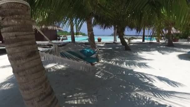 Hängmatta på hotel resort på tropical beach — Stockvideo