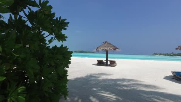 Palapa en ligbedden door zee op Malediven strand — Stockvideo