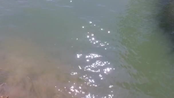 Sluneční skvrny ve vodě řeky nebo jezera — Stock video