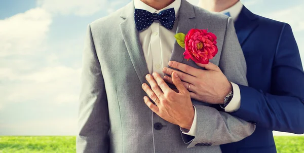 Close up of happy male gay couple — Stock Photo, Image