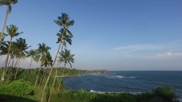 Vista sull'oceano dall'isola di Sri Lanka con palme — Video Stock