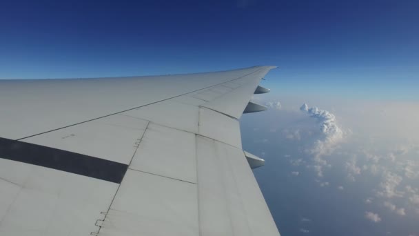 Ala del avión volando en el cielo azul — Vídeo de stock