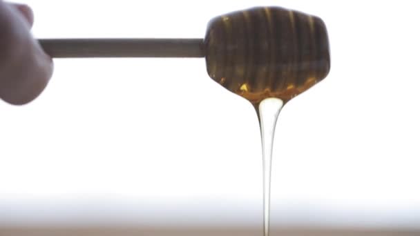 Рука держа Диппер с льющимся медом — стоковое видео