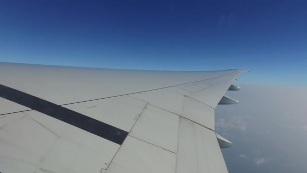 Wing of airplane flying in blue sky — Stock Video