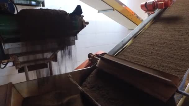 Black tea moving on machine conveyor at factory — Stock Video
