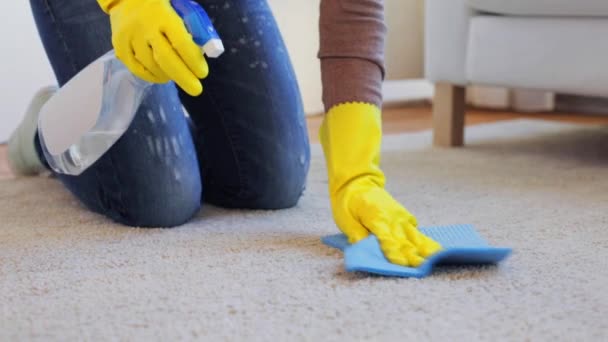 Frau in Handschuhen putzt Teppich oder Teppich mit Lappen — Stockvideo