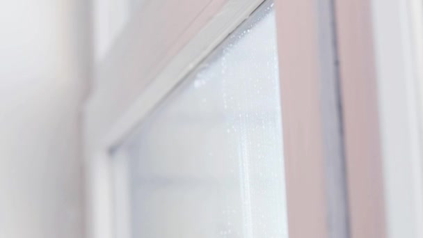 Houba mop čištění oken doma — Stock video
