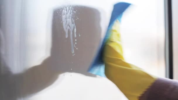 Kvinna i handskar rengöring fönster med trasa och spray — Stockvideo