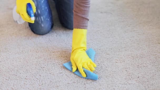 Frau in Handschuhen putzt Teppich oder Teppich mit Lappen — Stockvideo