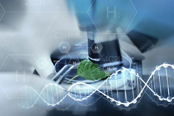 Close up of hand with microscope and green leaf — Stock Photo, Image