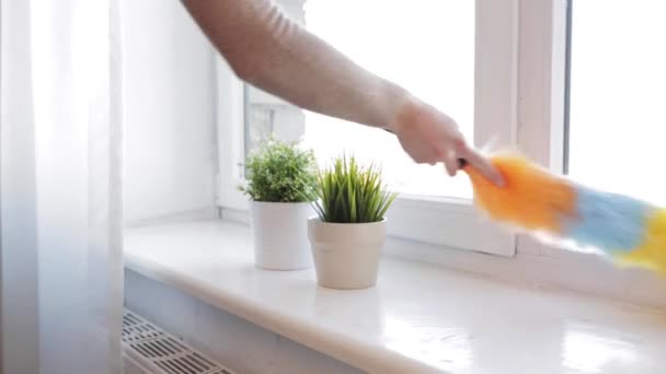 Femme avec dépoussiéreur nettoyage seuil de fenêtre à la maison — Video