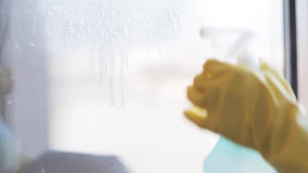 Woman in gloves cleaning window with rag and spray — Stock Video