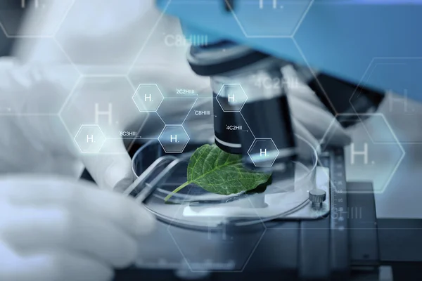 Primer plano de la mano con microscopio y hoja verde — Foto de Stock