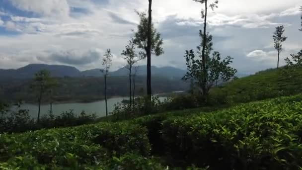 Vista para o lago ou rio a partir de colinas — Vídeo de Stock